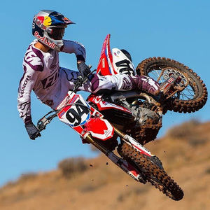 Meet your Posher, Korbin